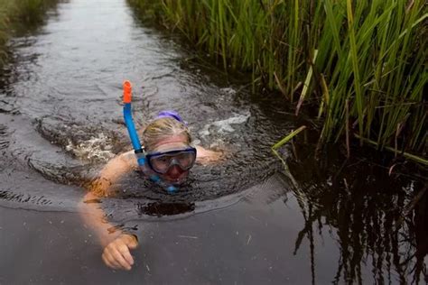 See Amazing Photos From The World Bog Snorkelling 30th Anniversary