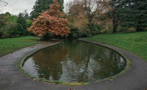 Royal Victoria Park Ponds Set To Undergo 75k Restoration Works Bath Echo