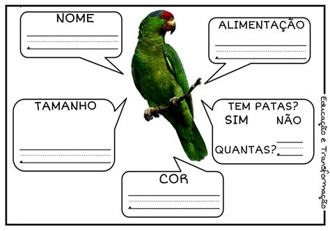 Ficha T Cnica De Animais Fichas Para Pesquisar Algumas Caracter Sticas