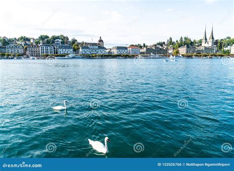 Paisaje Urbano De Alfalfa En Suiza Foto Editorial Imagen De Edificios