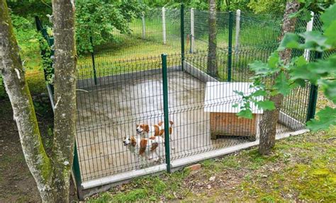 Fabriquer Un Chenil Pour Chien Soi Meme Jardin Et Plantes Fr