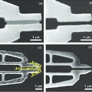 A Tip Of The Nanogripper With A Nominal Gap Of Nm The