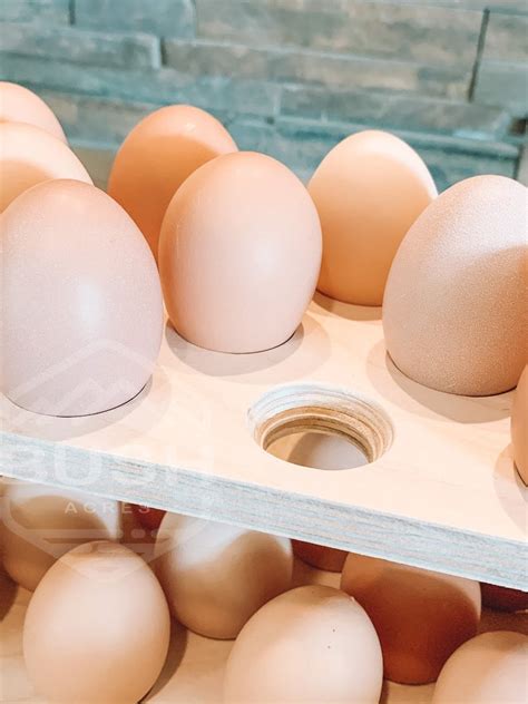 NOAH 18 Stackable Egg Holder Egg Storage Farmhouse Egg Etsy