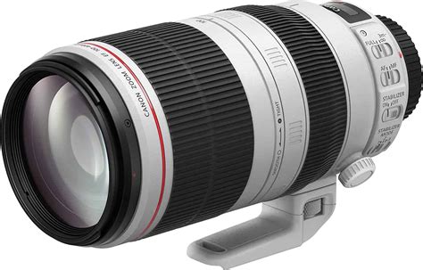 Canon EF 100-400mm Lens Review