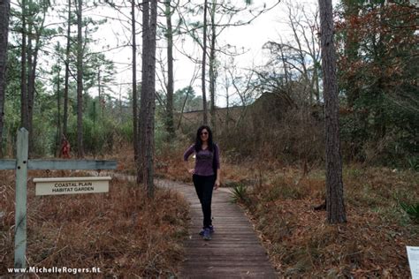 A winter walk at North Carolina Botanical Garden - Michelle Rogers ...