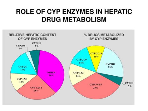 Ppt Drug Metabolism Powerpoint Presentation Free Download Id143197