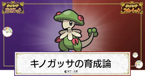 【ポケモンsv】キノガッサの育成論と対策【スカーレットバイオレット】 神ゲー攻略