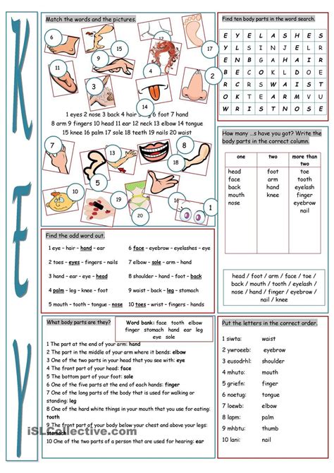 Body Parts English Esl Vocabulary Worksheets Engworksheets 1 B93