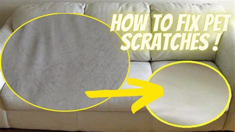 Leather Sofa Repair How To Fix Pet Scratches On Leather Couches