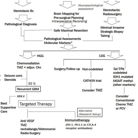 The Noscs Agreed Clinical Pathway For The Diagnosis And Treatment Of