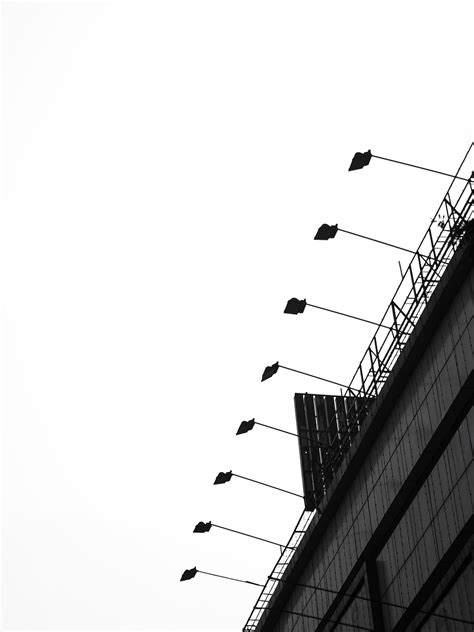 Download Bnw Street Citylights Royalty Free Stock Illustration Image