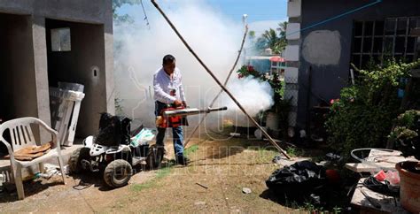 Hoy Tamaulipas Se Disparo El Dengue En Tamaulipas Incrementan Casos