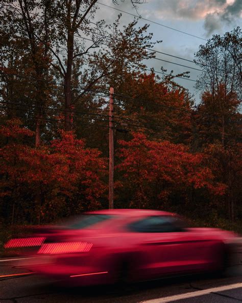 Ford Mustang in Michigan : r/pics