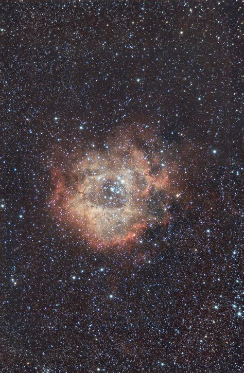 C49 Nebulosa Rosetta Credit Andrea Pistocchini Nebula Nebula