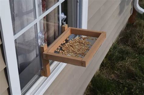 Window Bird Feeder – Free Woodworking Plan.com