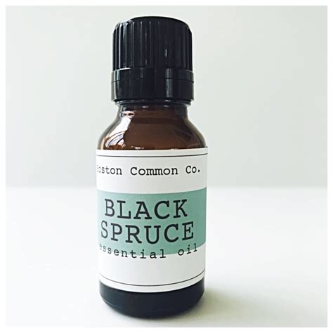 Pure Black Spruce Essential Oil 15 Ml Black Spruce Essential Etsy