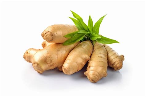 Close Up Ginger Root With Green Leaves Isolated On White Background