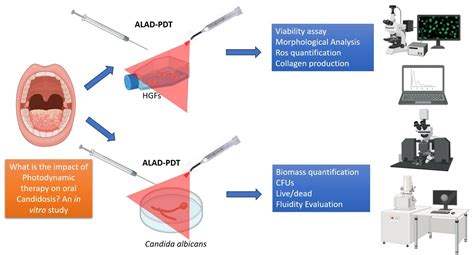 Gels Free Full Text What Is The Impact Of Antimicrobial Photodynamic Therapy On Oral