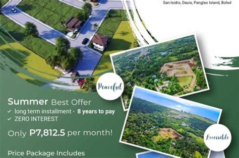 Residential Lot For Sale In San Isidro Dauis Panglao Island Bohol