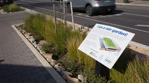 Why You Need A Raingarden And What It Is Green Adelaide