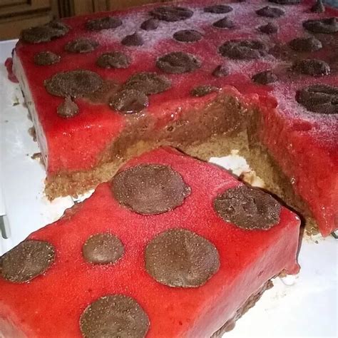 Entremet Fraise La Coccinelle Recette I Cook In Guy Demarle