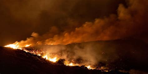 Waldbrände auf Rhodos Schermbecker sind betroffen