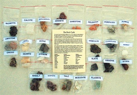 basic rock  mineral specimen collection