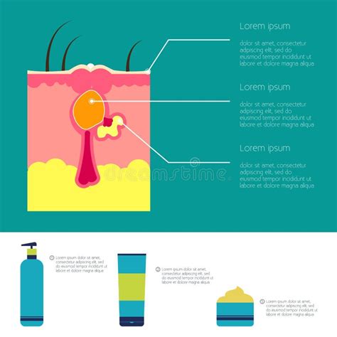 Ejemplo De La Piel De Infographic La Diferencia Entre Uva Y Uvb Irradia