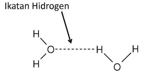 Pengertian And Contoh Ikatan Hidrogen