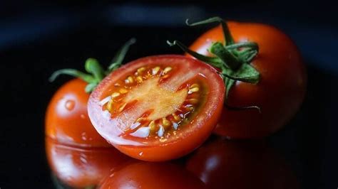 Asegura El Crecimiento Eficiente De Tus Tomateras Con El Hilo Perfecto