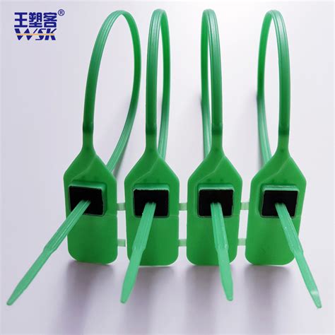 Green Blue Color One Time Single Use Plastic Security Seals China