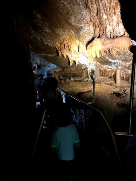 Amazing World Underground Buchan Caves Indis Page