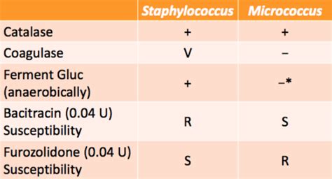 Unit 2 Exam 2 Microbiology II Flashcards Quizlet