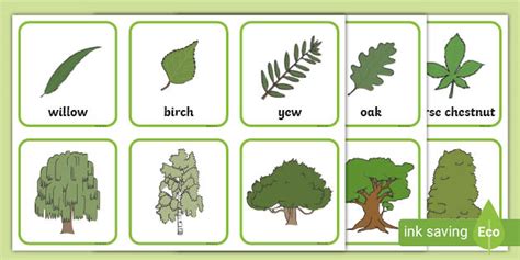 Trees And Leaves Match Up Game Games Activities Matching