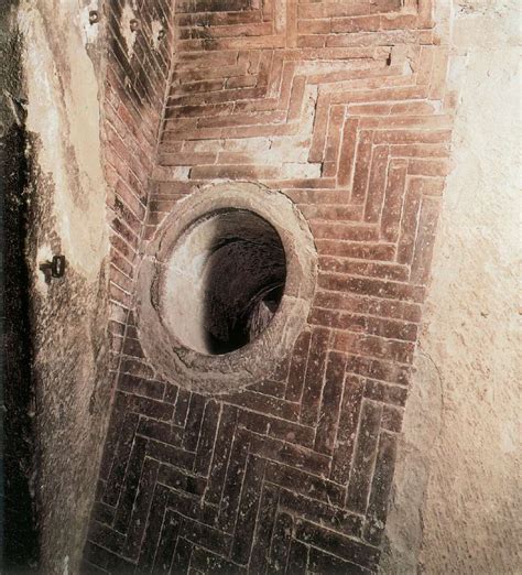 La Cupola Del Brunelleschi A Firenze Arte Svelata Piante Grasse Finte