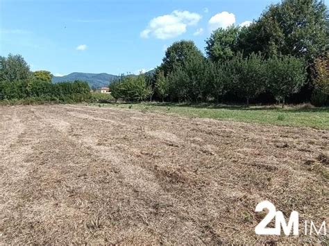 Terreno Agricolo San Giuliano Terme Rif Immobiliare It