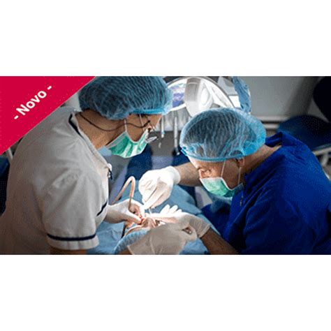 Curso Online De Odontologia Hospitalar Portal Educacao