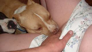 Orgasm Extreme Sex Videos