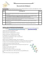 Macromolecules WebQuest Pdf Name Per Macromolecules WebQuest Prior