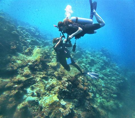 Learn To Scuba Dive In Fiji Where To Get Your Diving Certification