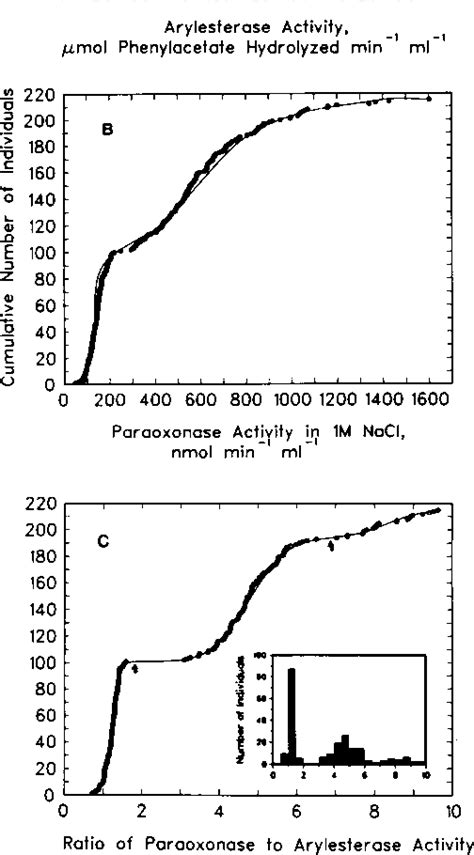 The Human Serum Paraoxonasearylesterase Polymorphism Semantic Scholar