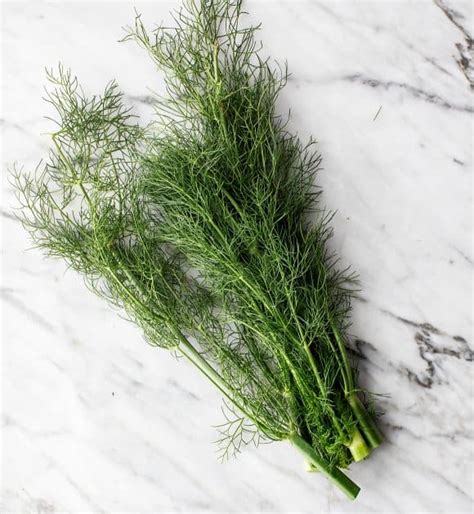 What Is Fennel And How To Cook It Recipes By Love And Lemons