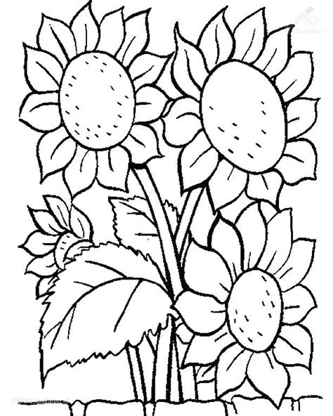 Cartoon Flower Coloring Pages At Free Printable