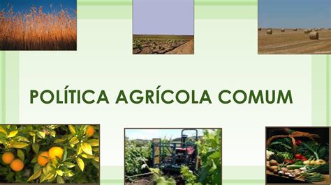 Calaméo POLÍTICA AGRÍCOLA COMUM