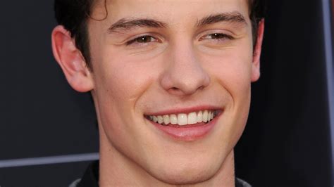 Shawn Mendes Announces Sad Career News Amid Mental Health Struggles