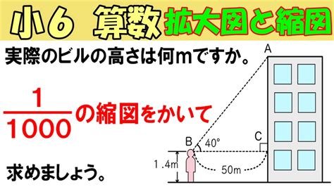 算数 小6 49 拡大図と縮図7 縮図をかいて，実際の長さを求める 最も完全な関連コンテンツの概要拡大 図 と 縮図 テスト