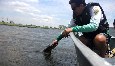 Pantanal Com Mais Água É Pesca Diferenciada E Natureza Exuberante