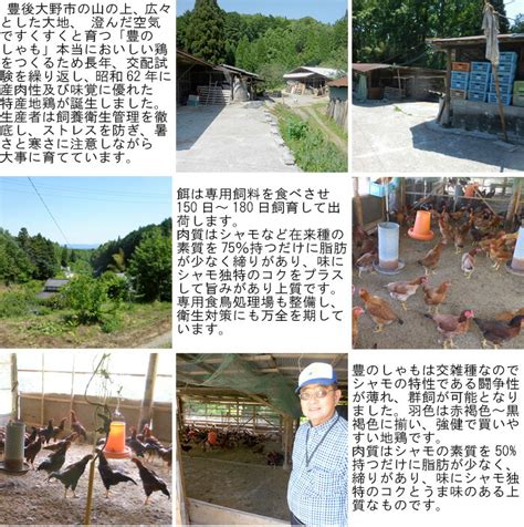 【楽天市場】極上新鮮地鶏 肉汁で味わう抜群のコクと旨み 豊のしゃもbセット 切り身200g×5スープ200ml×2 大分県特産地鶏 朝