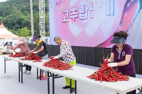 2019청양고추구기자축제 ‘매콤달콤 최고였다