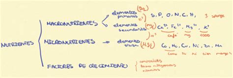 Tema 2 Cultivo Y Crecimiento Bacteriano Flashcards Quizlet